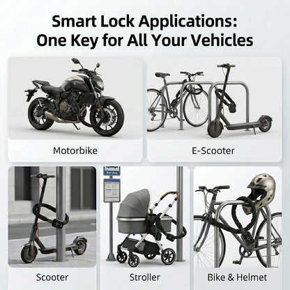 Biometric 5-in-1 Smart Security Lock